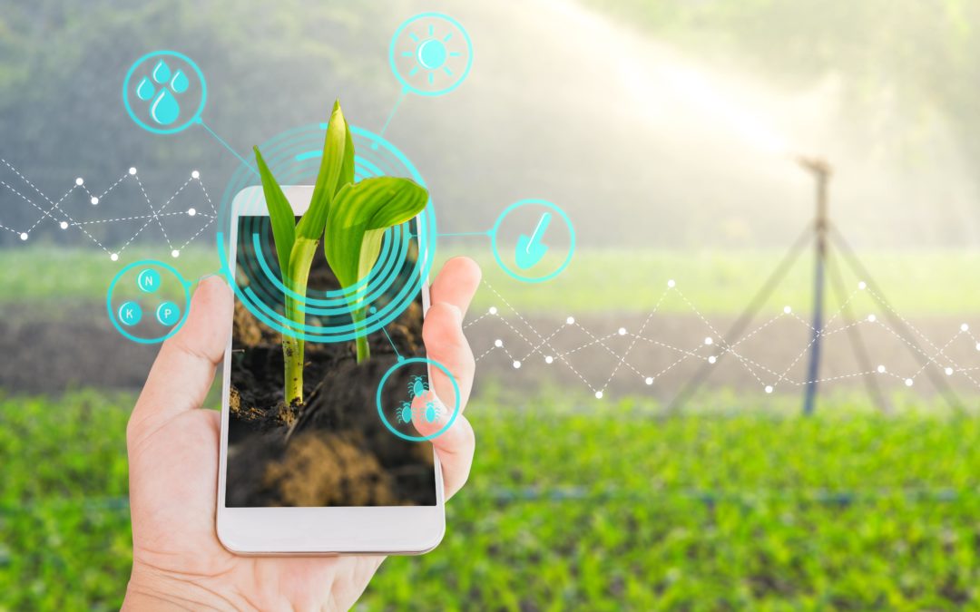 Focus on innovation and competitiveness welcome in provincial economic recovery plan