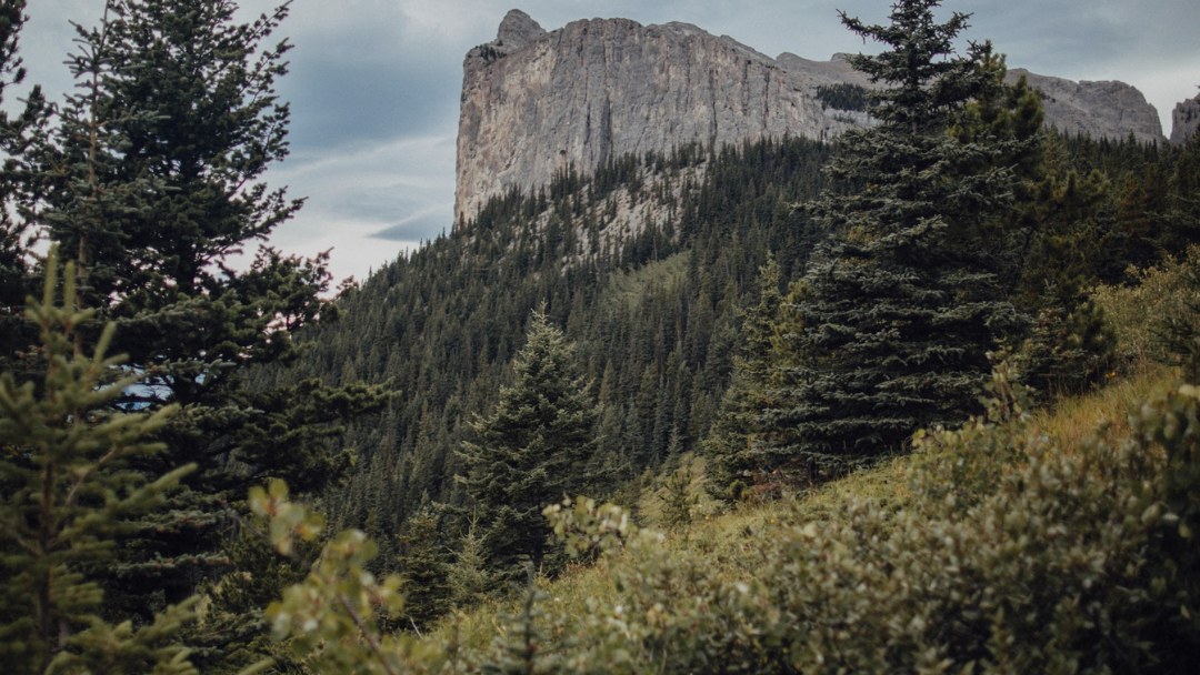 Canada’s net zero goal: To achieve it, we must first define it