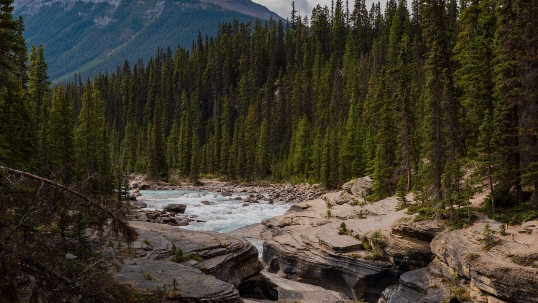 Getting it right at the outset: Implementing UNDRIP in Canada