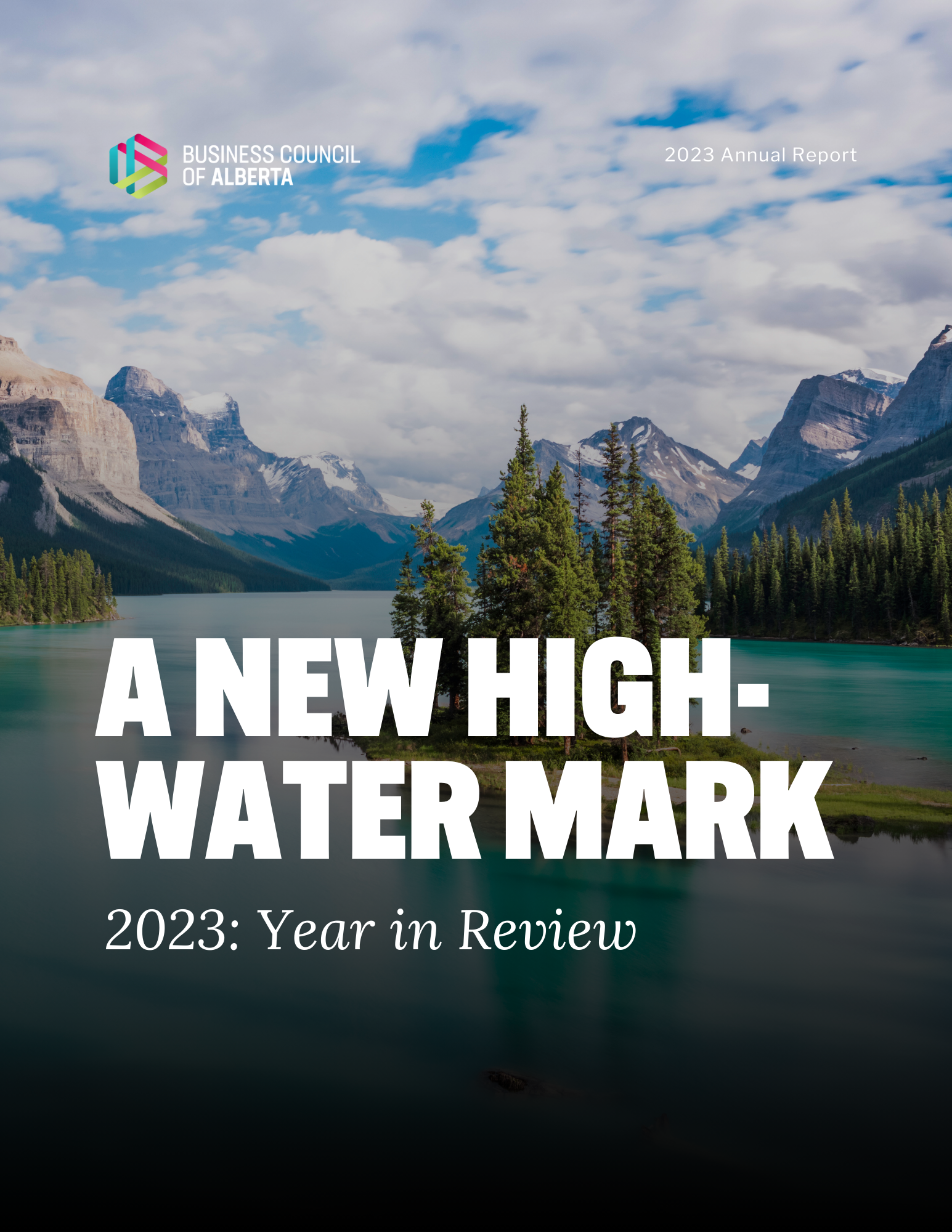 2022 Annual Report - DRAFT