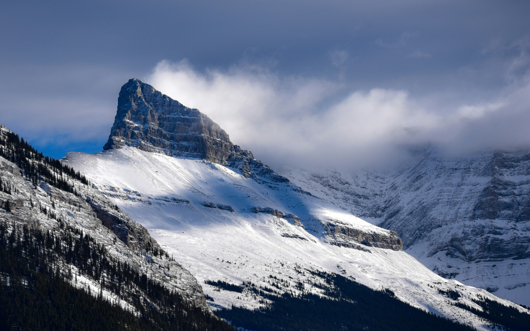 Alberta’s Economic Snapshot – Winter 2024