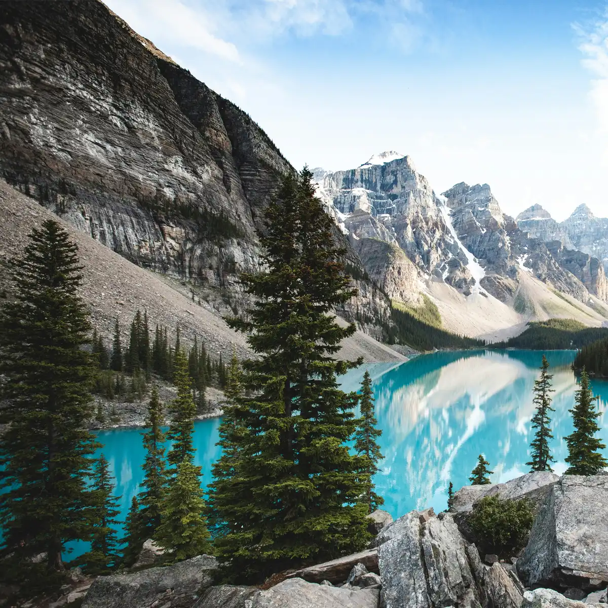 BCA’s Response to Trade Tariffs