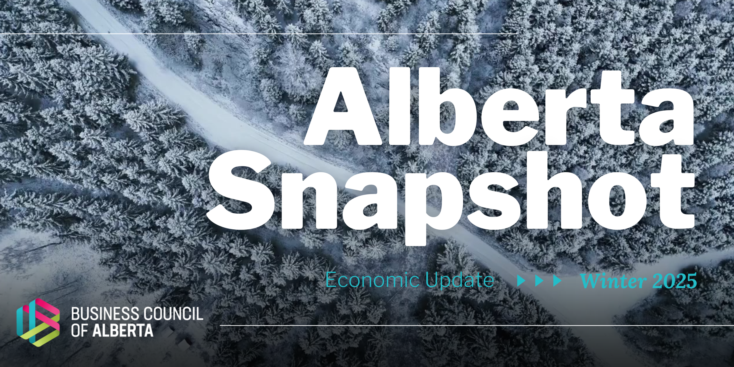 BCA’s Response to Trade Tariffs