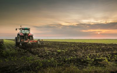 Letter to the Ministry of Employment and Social Development Canada on the Canada Labour Code